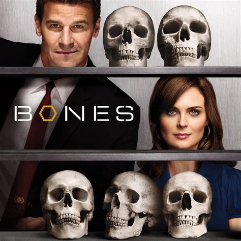 bones episode 4 season 4